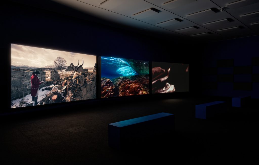 John Akomfrah, Vertigo Sea, Installation view, Remai Modern, 2022. Photo: Blaine Campbell