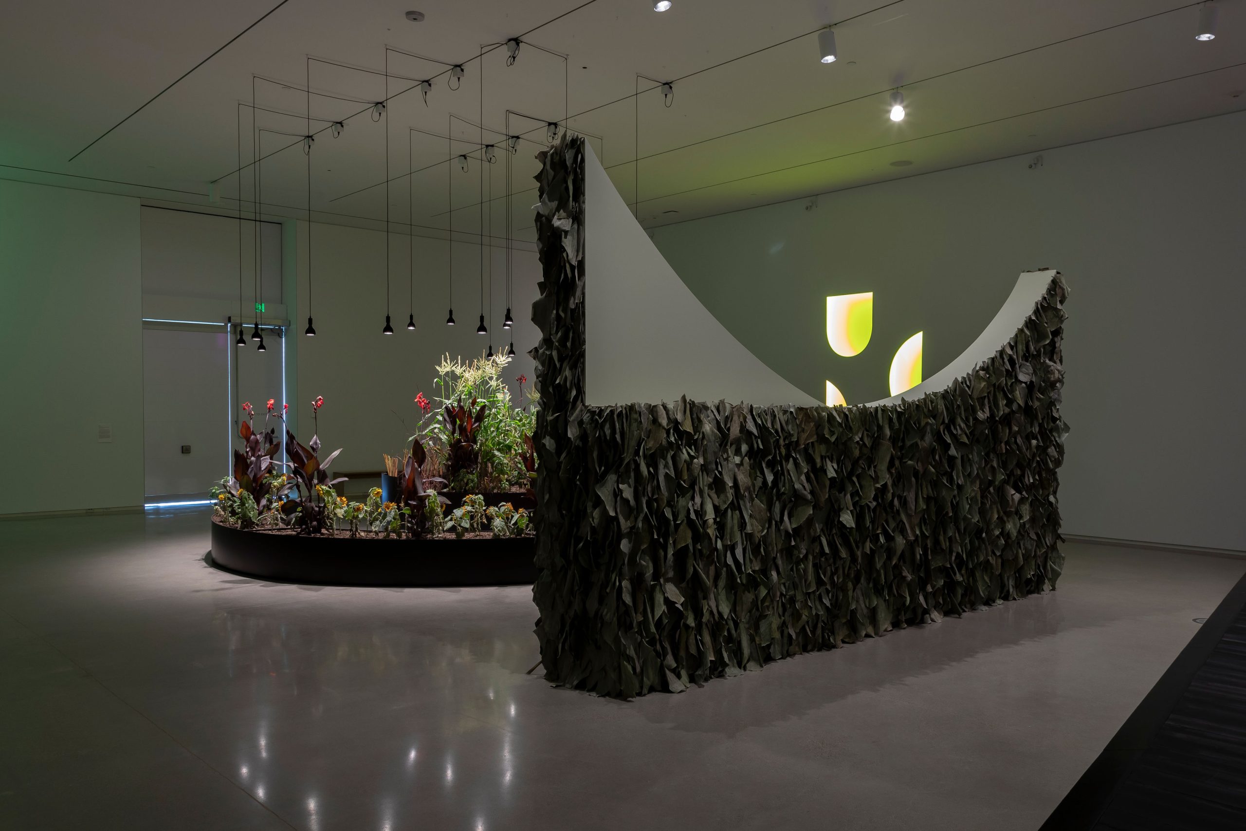 Kapwani Kiwanga: Remediation, installation view featuring a sculptural work with live plants. Photo: Carey Shaw