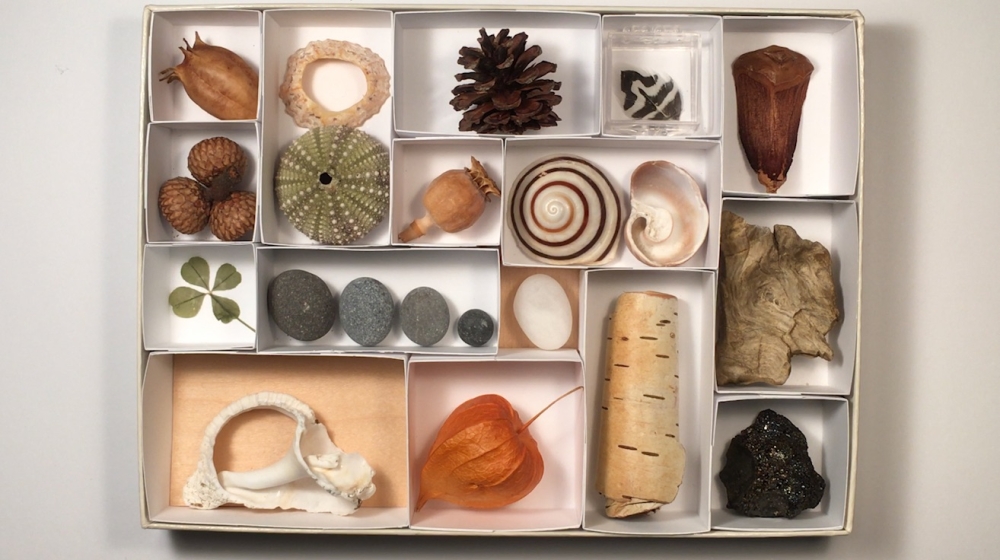 Cardboard Cabinet of a variety of objects
