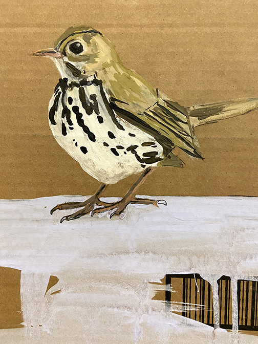 Dawna Rose, Harris sparrow, acrylic on cardboard, 2020