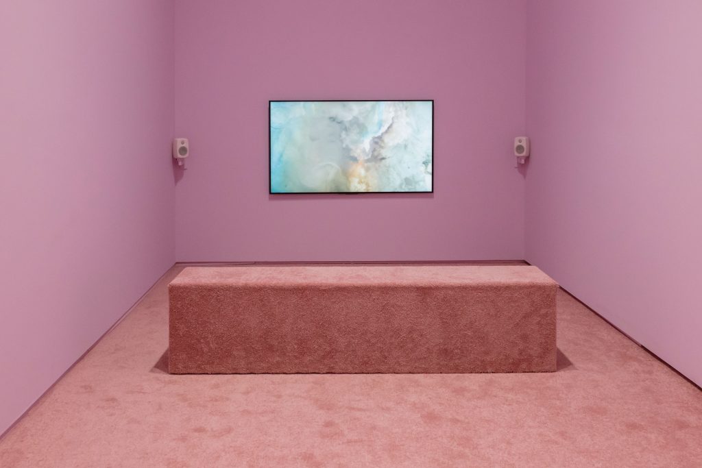 A pink-painted room shows a TV and a bench. The floor and bench are covered in pink carpet, and a video plays on the TV screen.