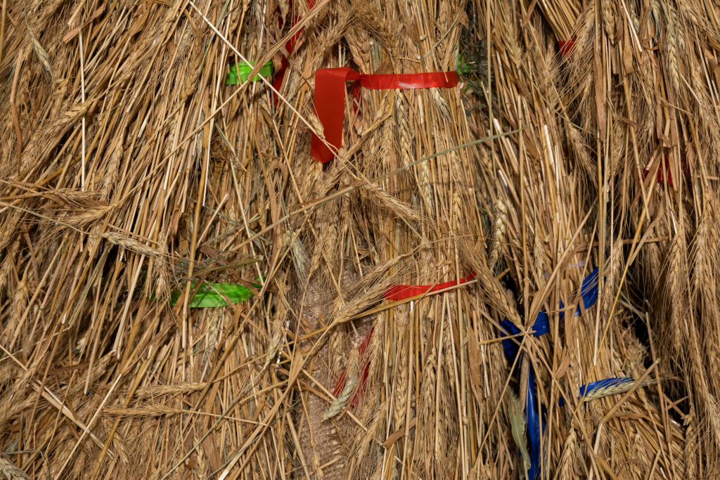 A tightly framed close-up photograph shows bundles of dried wheat packed densely together. The stalks and grain heads overlap in a textured mass of tan and golden-brown tones.Interwoven throughout the straw are small strips of brightly colored ribbon or plastic tape in red, green, and blue, tied or threaded between the bundles. The vivid colors contrast sharply with the natural dry plant material, giving the image a ceremonial or decorative quality.