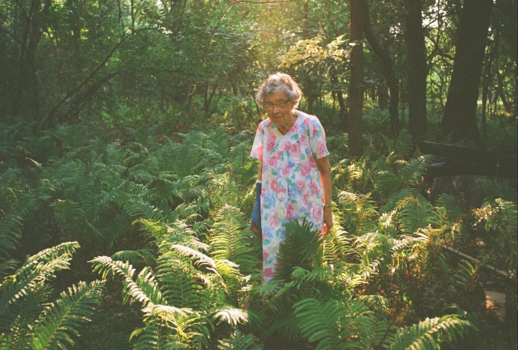 An elderly woman in a floral dress walks through a sunlit forest, surrounded by lush green ferns and tall trees, with warm light filtering through the foliage.