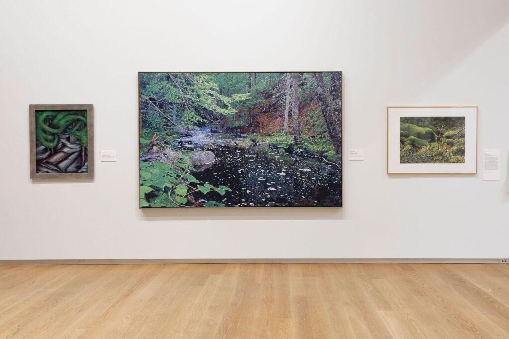 Three works hang on a white gallery wall. At left, a small painting in a grey frame depicts coiled green forms among dark rocks. At centre, a large-scale painting shows a lush forest interior with a dark, reflective stream, dappled light, and dense green foliage. At right, a smaller framed work depicts a moss-covered rocky landscape in muted greens and yellows.